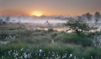 Landschapsbeeld
